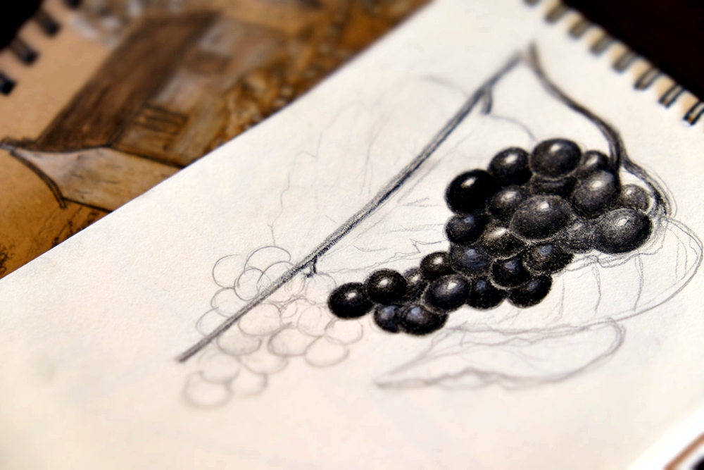 Rough sketches - original art by Lisa Saul