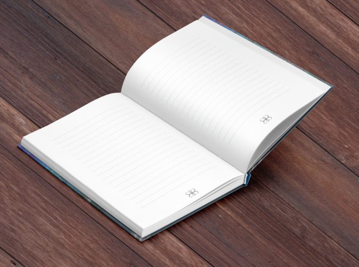 Home by Moonlight: Willow Lane Notebook #1 - Image 3
