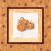 "Autumn Pumpkins" v2: 10 Folded Cards (white envelopes) - Image 2