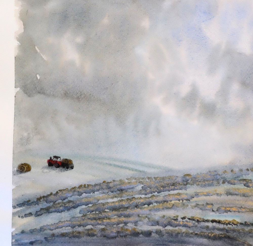 "Hasty Harvest" - Original Watercolour by Lisa Saul