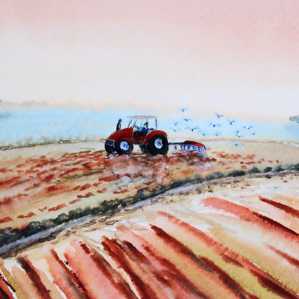 "Early Bird" - Original Watercolour by Lisa Saul