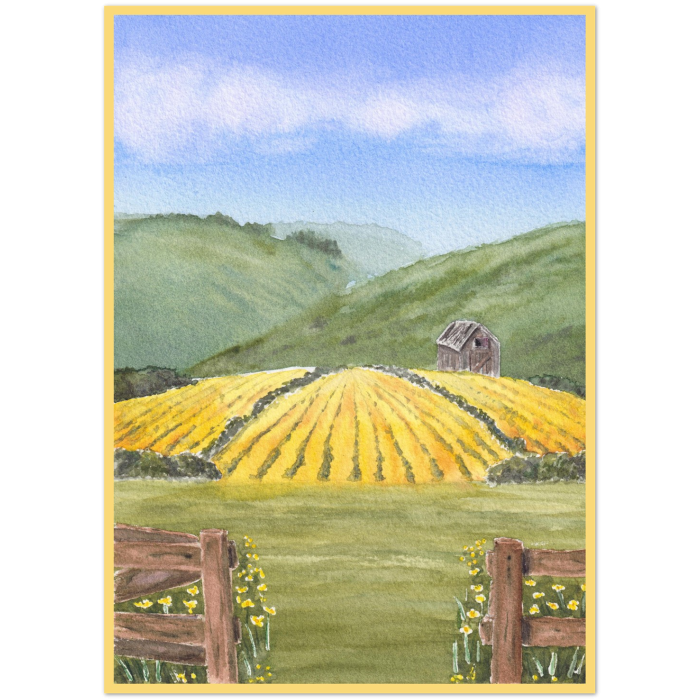 "Summer Gold": 10 Folded Cards TWO SIZES (white envelopes) - Image 6