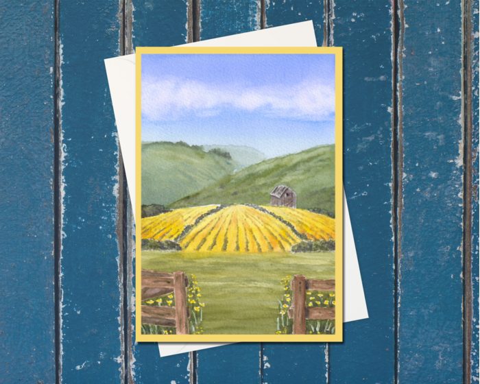 "Summer Gold": 10 Folded Cards TWO SIZES (white envelopes)
