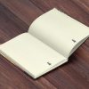 On Eagle’s Wings: Willow Lane Notebook #19 - Image 3