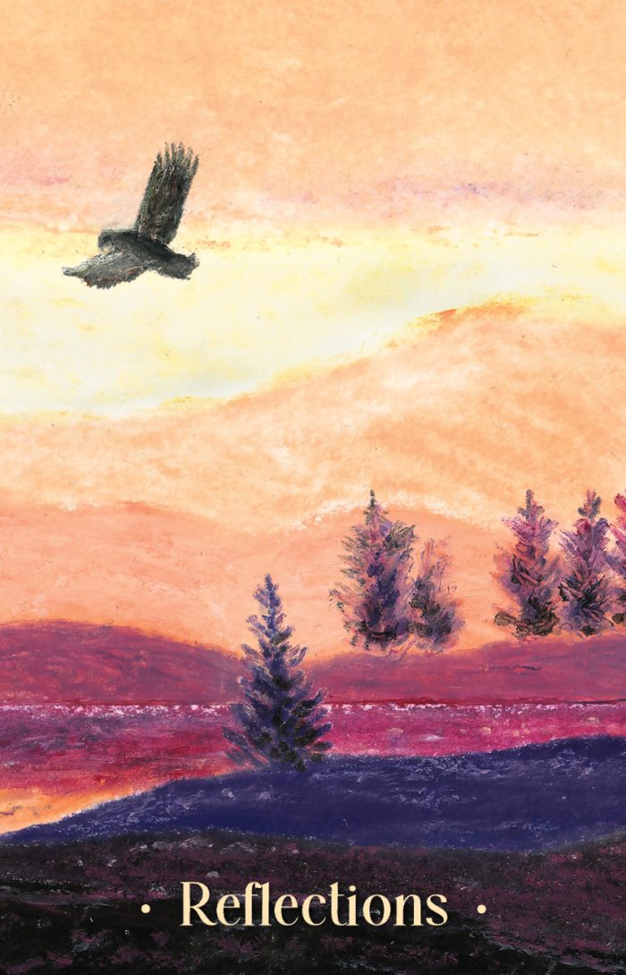On Eagle’s Wings: Willow Lane Notebook #19 - Image 2