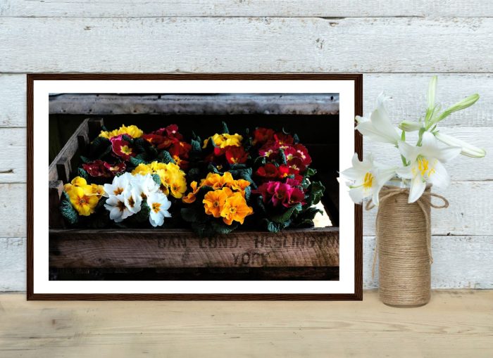 Photography Print: "Rustic Flower Box"