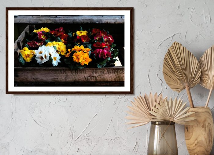 FRAMED Photography Print: "Rustic Flower Box"